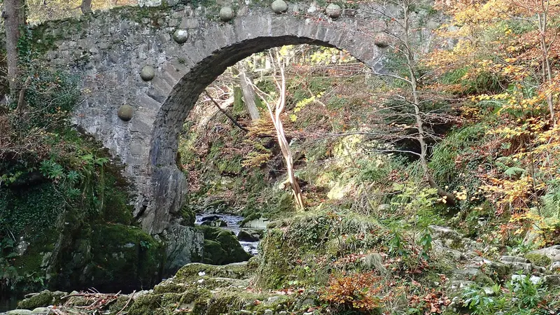An old stone arch bridge over a river gorge among autumn trees in Tollymore Forest Park