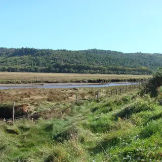 Saltmarsh and woodland along the shore at Ards Forest Park