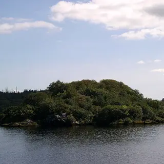 The wooded Lake Isle of Innisfree on Lough Gill