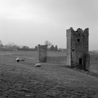 The walls and towers of Kells Priory across a field with sheep