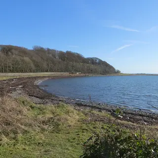 The stony shore of Strangford Lough curving towards a wooded point under a blue sky