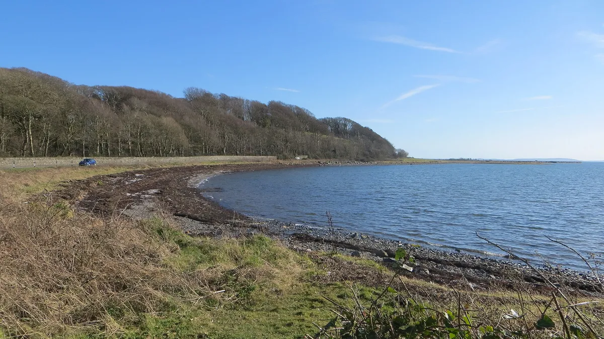 The stony shore of Strangford Lough curving towards a wooded point under a blue sky