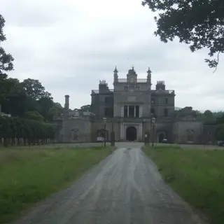 The drive up to Curraghmore House between its trees