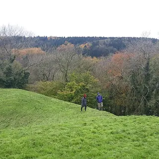 The grassy mound of Mountsandel Fort with woodland behind it