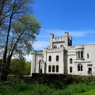 The pale granite towers of Gosford Castle seen through trees under a blue sky