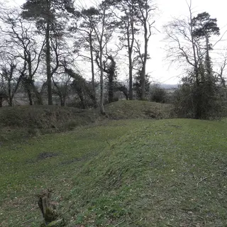 The grassy earthwork bank of Tullaghoge Fort with old trees along its top
