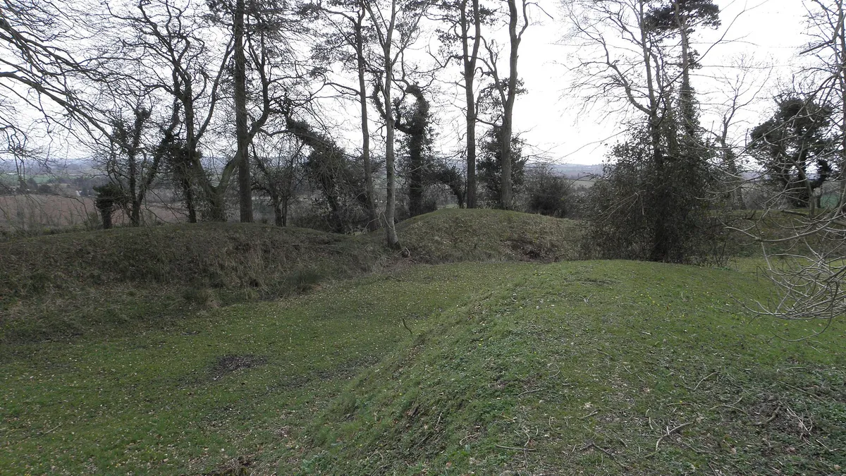 The grassy earthwork bank of Tullaghoge Fort with old trees along its top