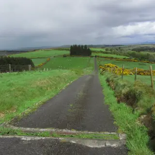 A lane between gorse and fields on the slopes of Corn Hill