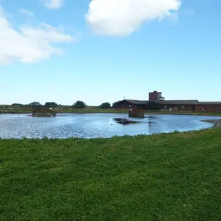 A pool on the North Slob at the Wexford Wildfowl Reserve, with the centre beyond