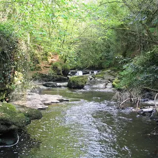 The Clare River running over rock ledges through the woods at the Clare Glens