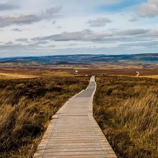 The wooden boardwalk running out across brown bog grass towards a wide view of the Fermanagh lowlands