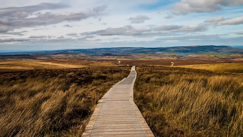 The wooden boardwalk running out across brown bog grass towards a wide view of the Fermanagh lowlands