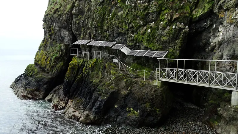 A walkway and tubular bridge fixed to the sea cliffs on the Gobbins path