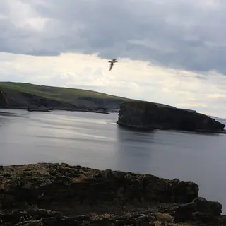 The Kilkee cliffs running out to sea on a still grey day