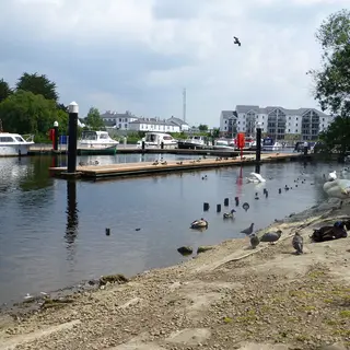 Boats moored at the Round O quay on the Erne in Enniskillen, with town buildings along the far bank