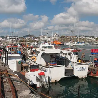 Fishing boats tied up along the quay at Kilmore Quay harbour