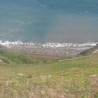 The shore and the clifftop below Bray Head, seen from the path above the beach