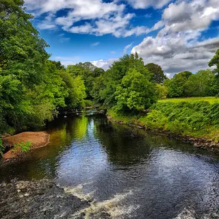 The River Roe running over stones between wooded banks in Roe Valley Country Park