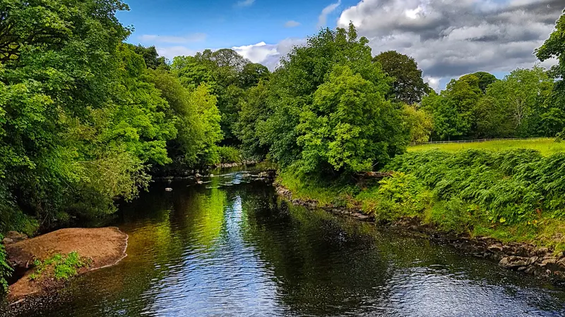 The River Roe running over stones between wooded banks in Roe Valley Country Park