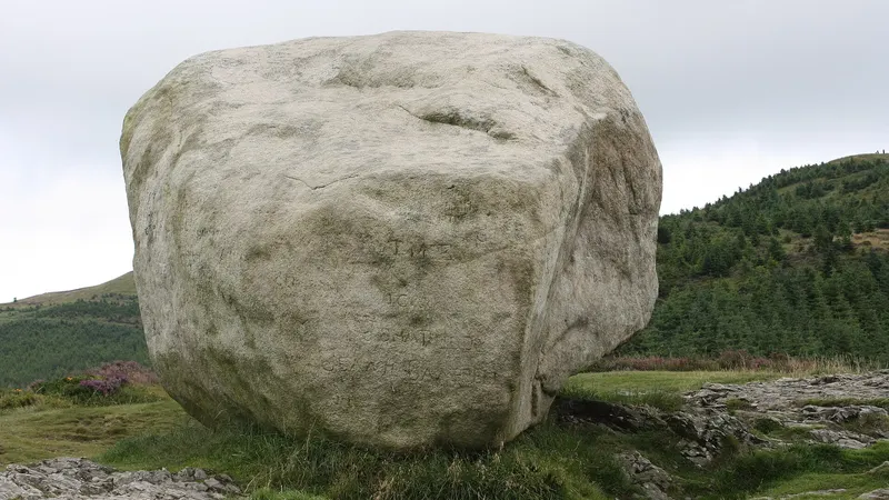 The huge pale granite boulder of the Cloughmore Stone on a grassy slope above forest