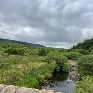 The river running through the wooded, grassy valley of Banagher Glen