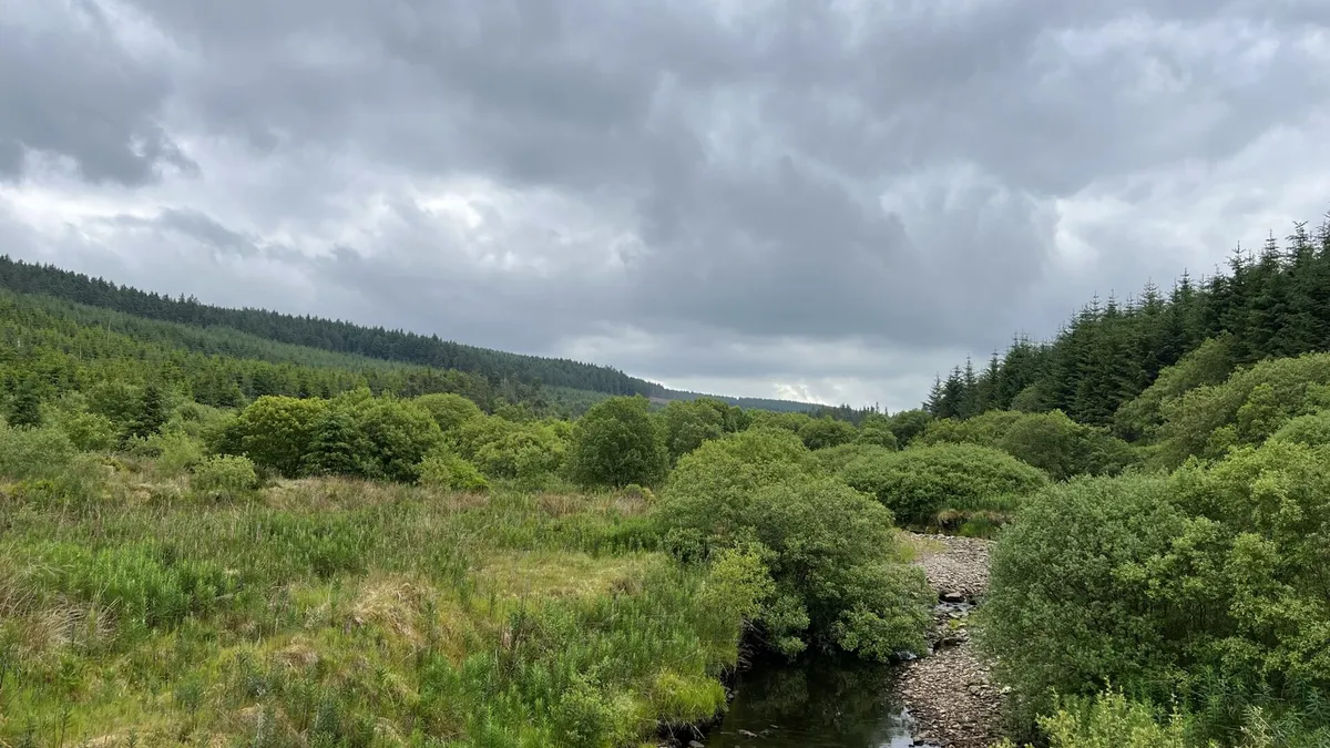 The river running through the wooded, grassy valley of Banagher Glen