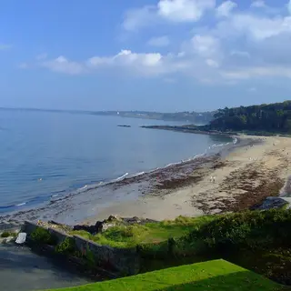 A curving sandy beach on Belfast Lough with woodland along the shore at Crawfordsburn Country Park