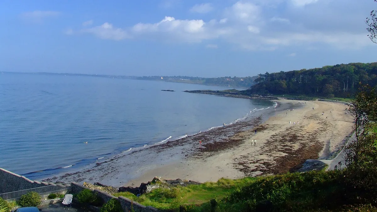 A curving sandy beach on Belfast Lough with woodland along the shore at Crawfordsburn Country Park