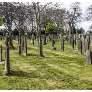 Rows of headstones under bare trees in Glasnevin Cemetery