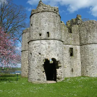 Roughan Castle with its round corner towers on a lawn, a pink flowering tree beside it