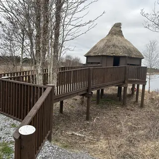 A thatched bird hide on a timber walkway beside the lake at Lough Boora