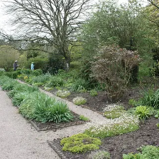 A gravel path between planted borders in the walled garden at Rowallane