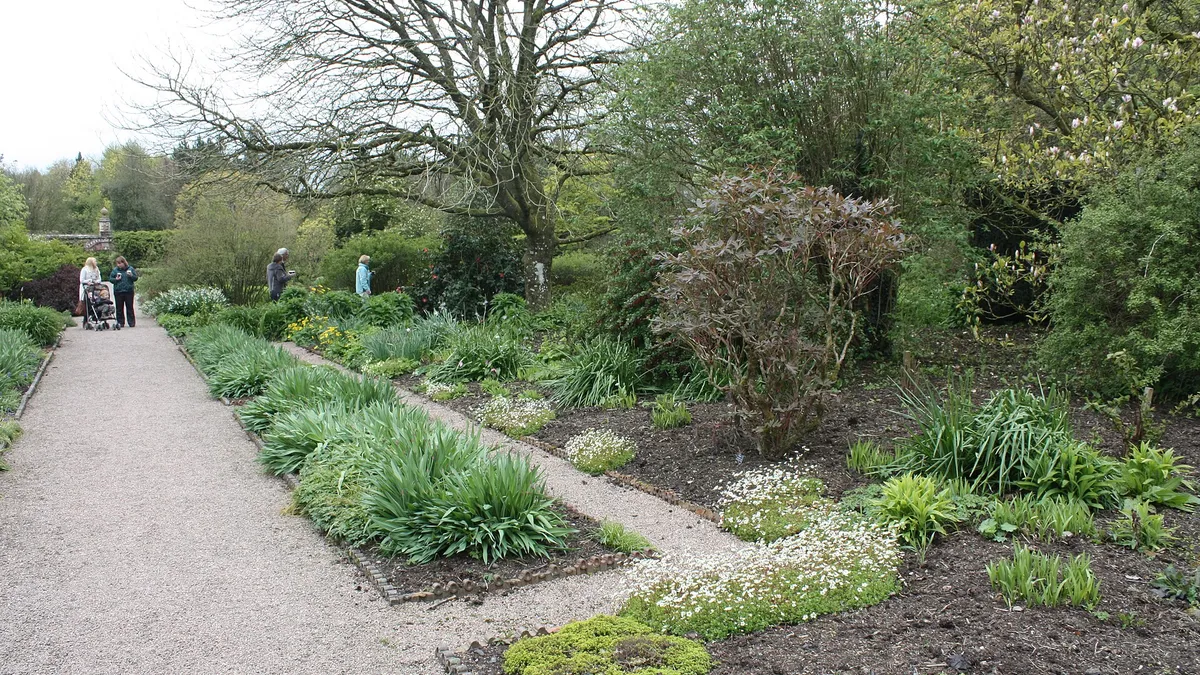 A gravel path between planted borders in the walled garden at Rowallane