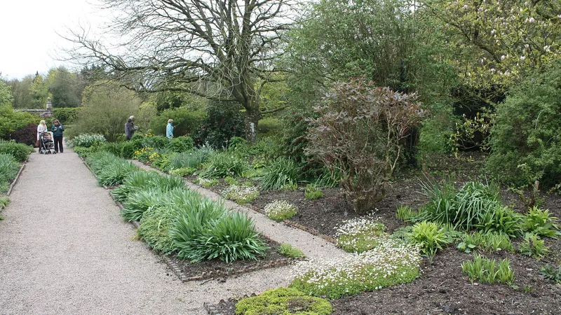 A gravel path between planted borders in the walled garden at Rowallane