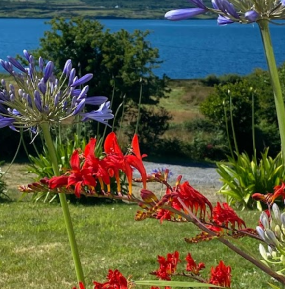 Gallán Mór Boutique B&B