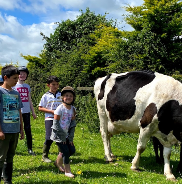 Boskill equestrian/Trekking Homestay