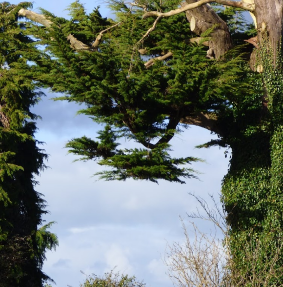 Broadford Ashford Walking Trails