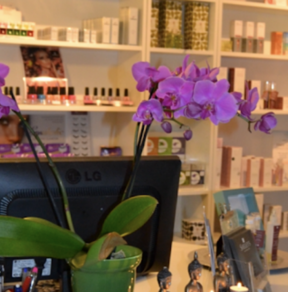 Shelley's Health and Beauty