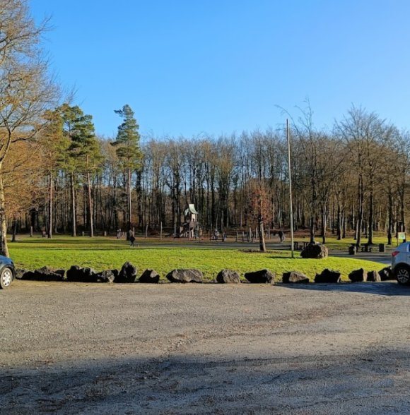 Curraghchase Forest Park