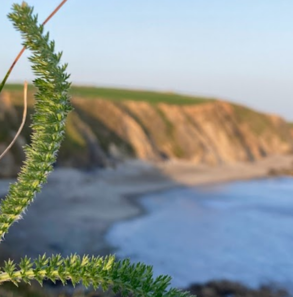 Annestown Beach