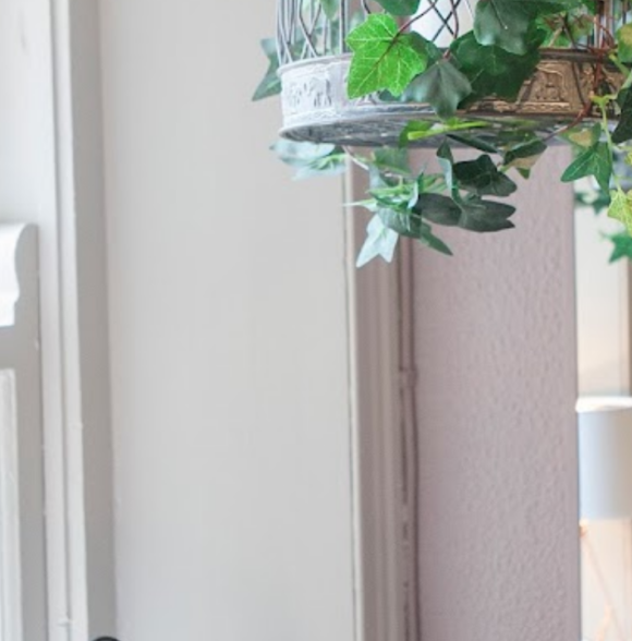 The Ivy Wellness & Beauty Salon