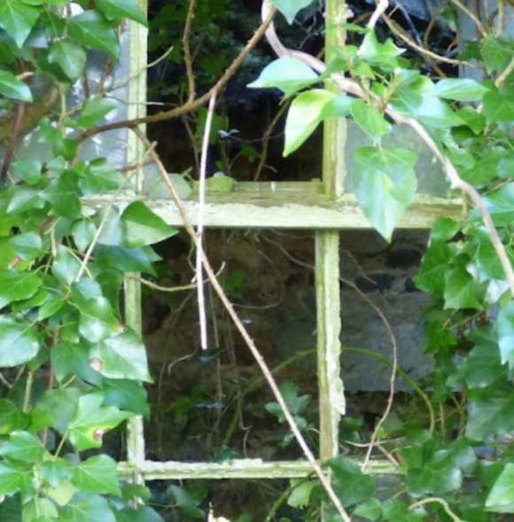 Broadford Ashford Walking Trails