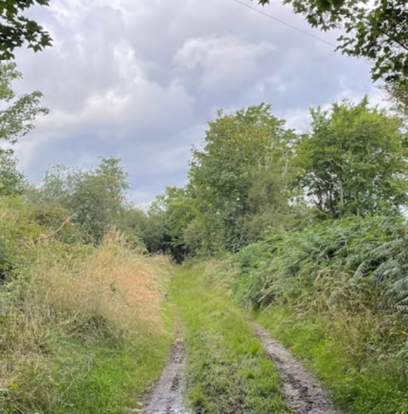 Waterford Motorhome Parking