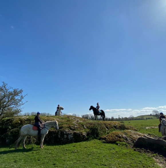 Boskill equestrian/Trekking Homestay