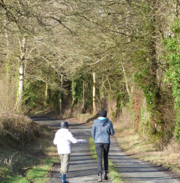 Broadford Ashford Walking Trails
