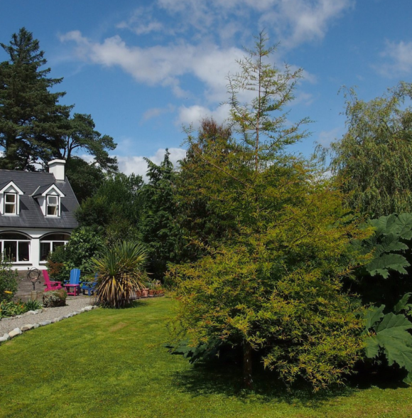 Ballycommane House Garden