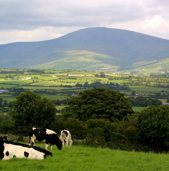 Brandon View House B&B Kilkenny