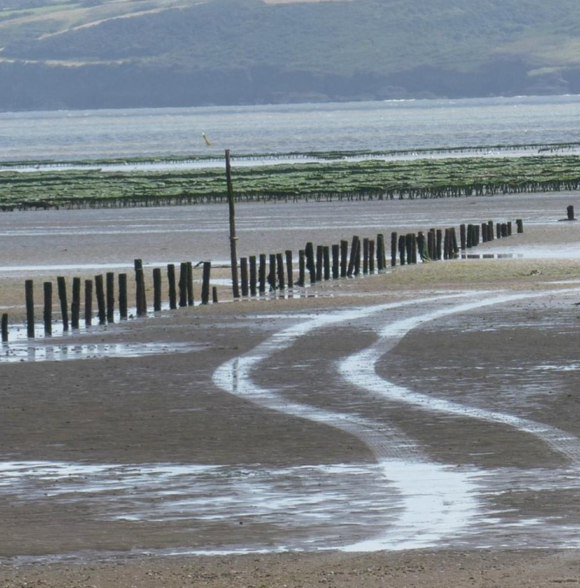 Woodstown Strand