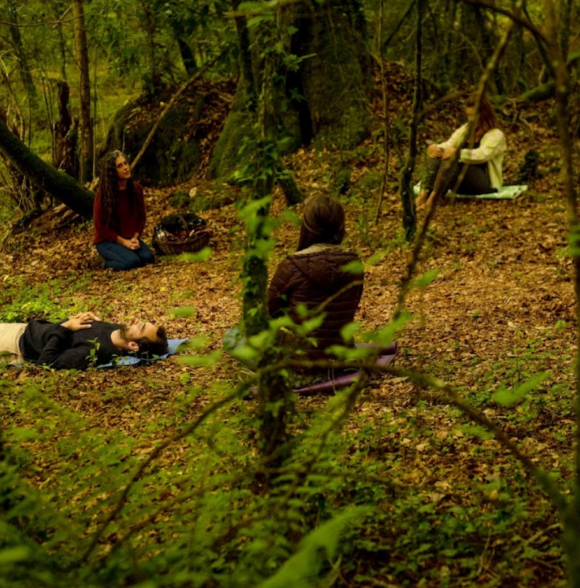 Glengarriff Forest Therapy & Walk