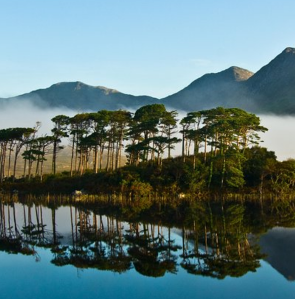 Beautiful South West Tour